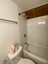 Bathroom Downstairs